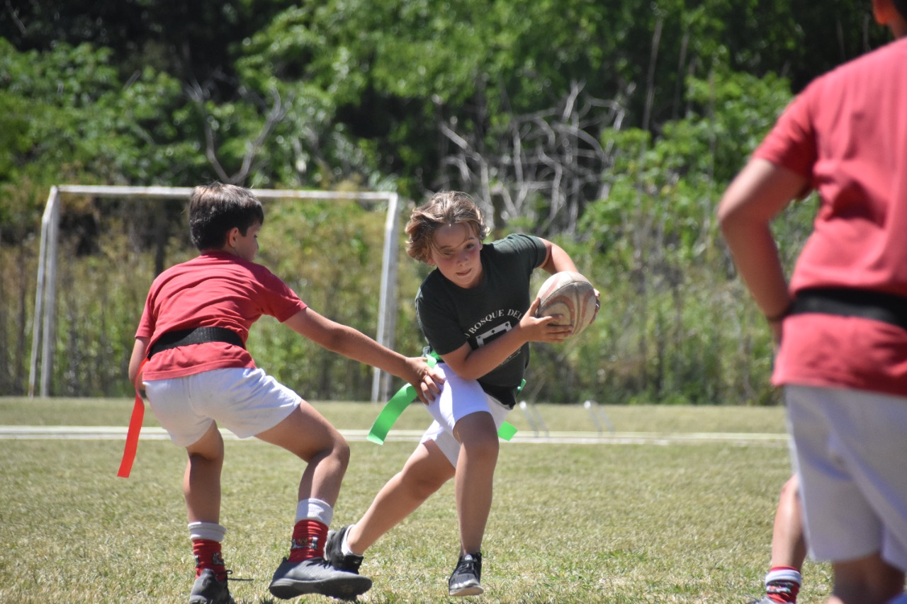 educación deportiva en La Plata Rugby